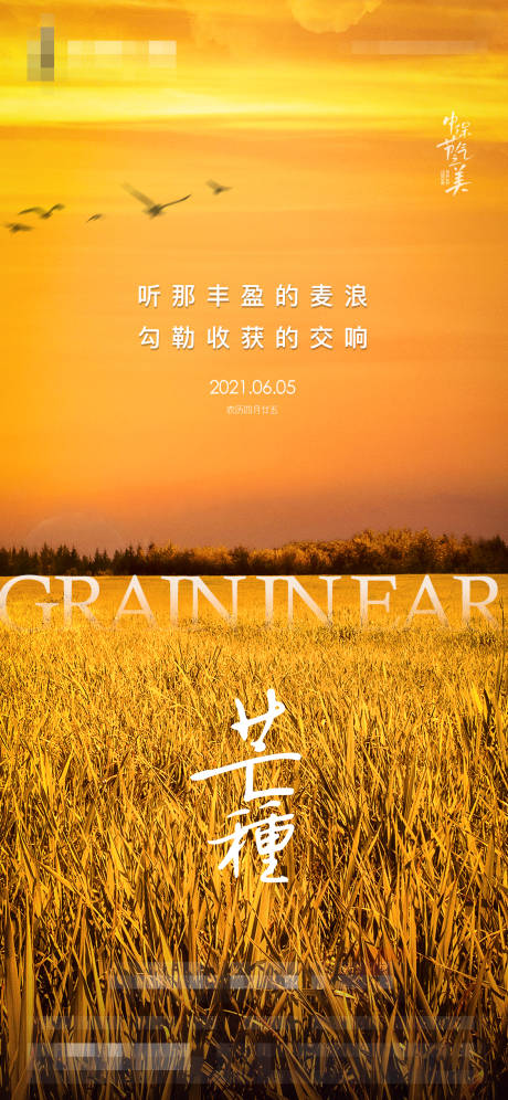 源文件下載【享設計】搜索編號：88840004969692278【地產(chǎn)芒種節(jié)氣海報】