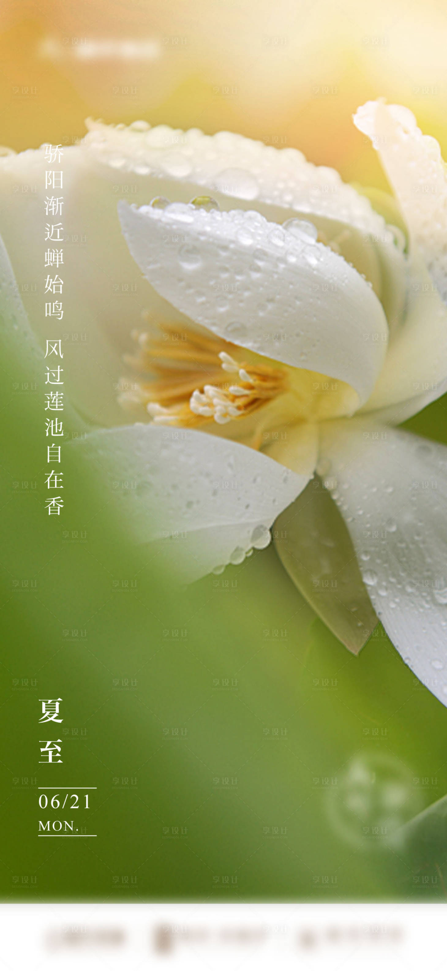 源文件下載【地產(chǎn)夏至唯美花朵睡蓮節(jié)氣微單】編號(hào)：78240005286057230