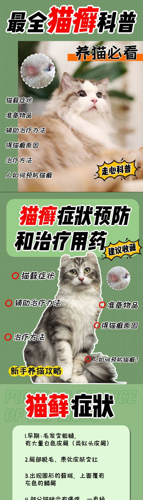源文件下载【享设计】搜索编号：90090005119442424【小红书宠物猫藓科普系列图】