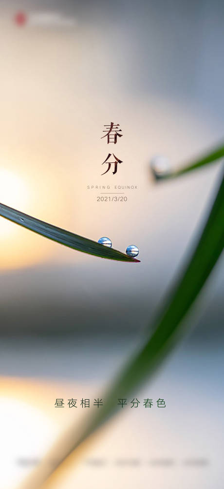 源文件下载【春分节气移动端海报】编号：16910005368636661