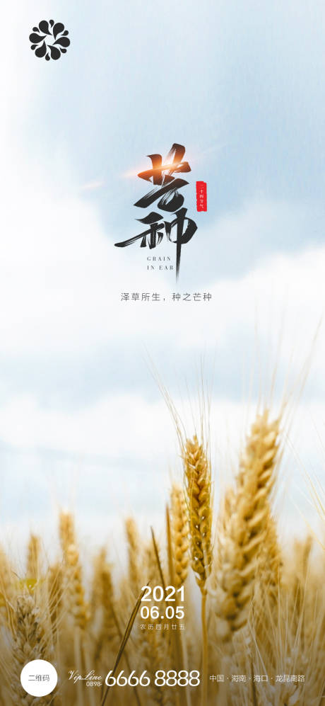 源文件下載【地產芒種節氣海報】編號：42300004940825921
