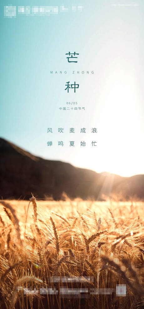 源文件下载【芒种节气海报】编号：28980004979395529