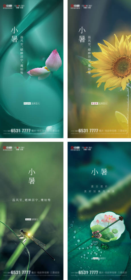 源文件下载【享设计】搜索编号：26010005338897706【小暑节气节气稿】