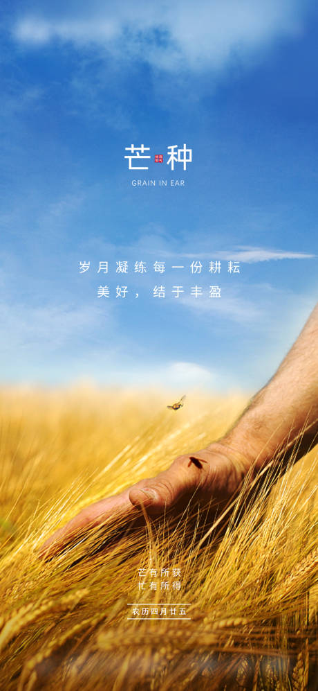 源文件下载【芒种海报 】编号：79340004991744939