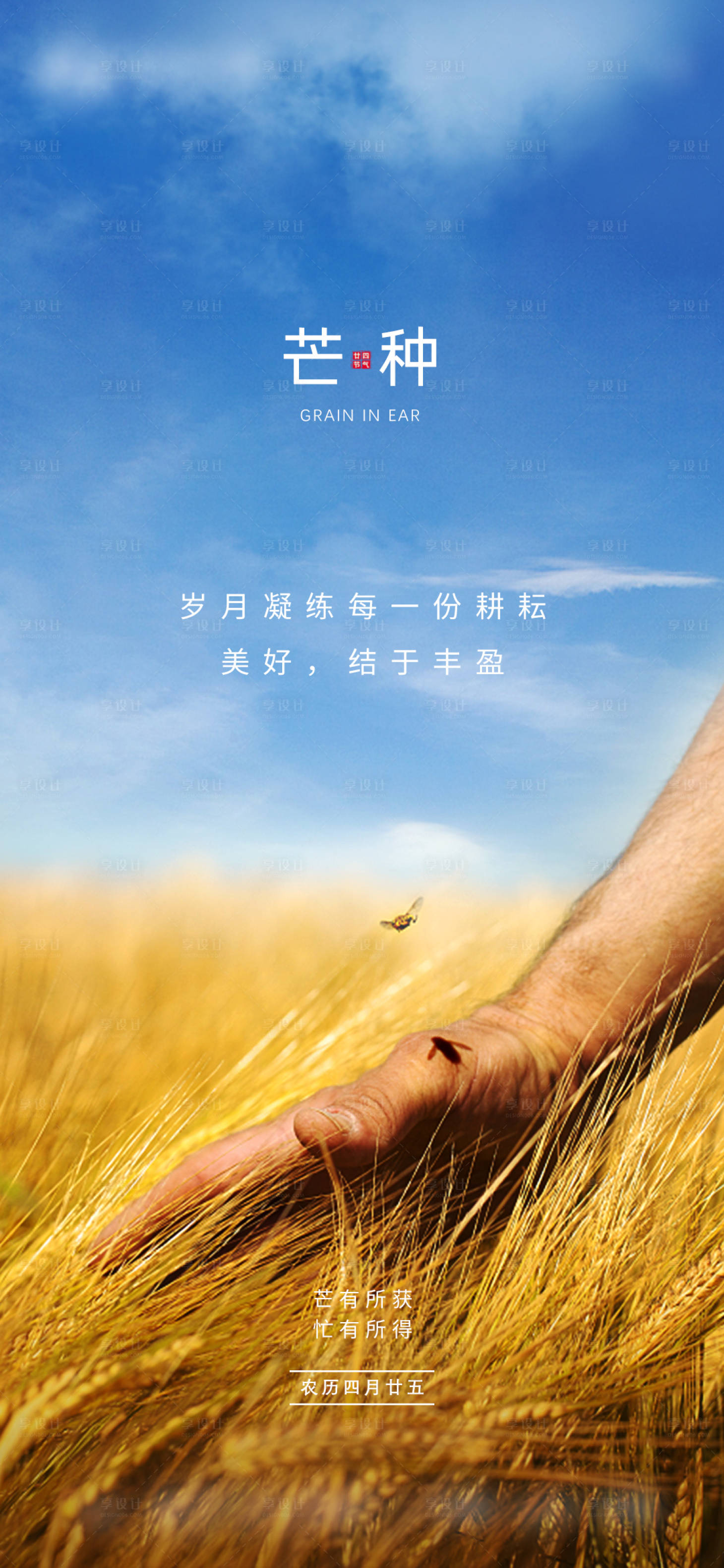 源文件下載【享設(shè)計(jì)】搜索編號(hào)：79340004991744939【芒種海報(bào) 】