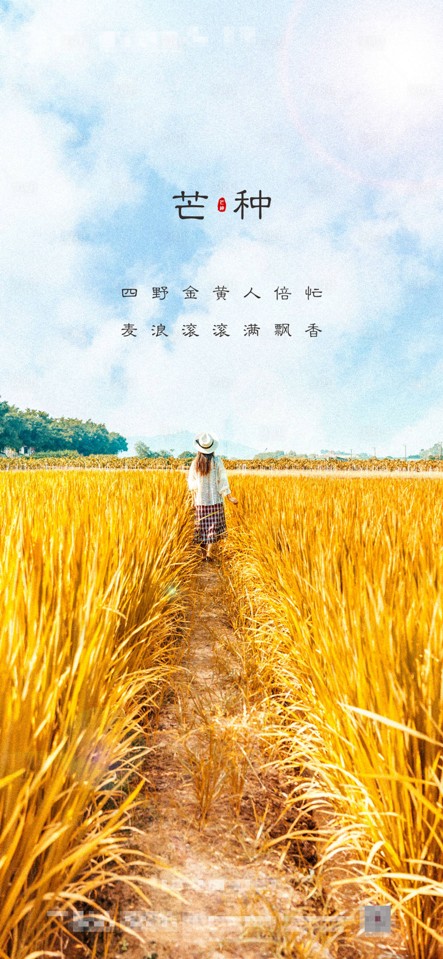 源文件下载【享设计】搜索编号：26990004978106156【芒种海报】