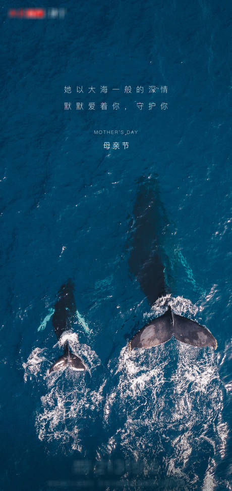 源文件下载【母亲节海报】编号：34300004991116677
