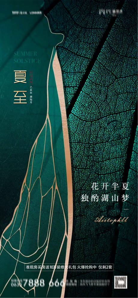 源文件下载【夏至单图】编号：43220005100368568