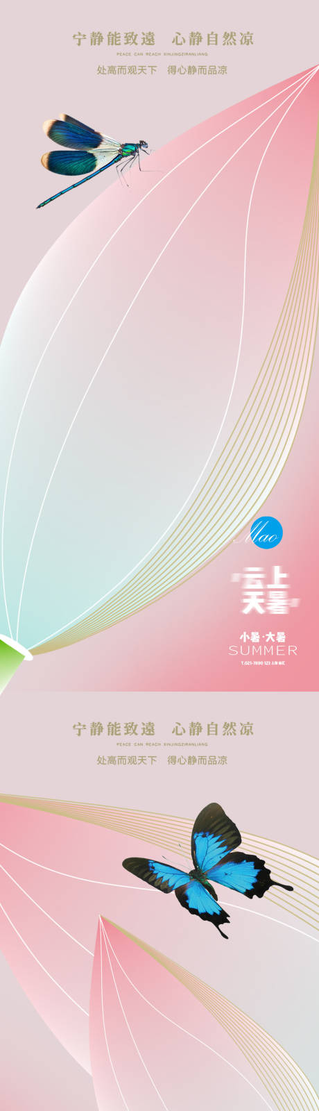 源文件下载【小暑大暑荷花秀稿】编号：64160005328676767