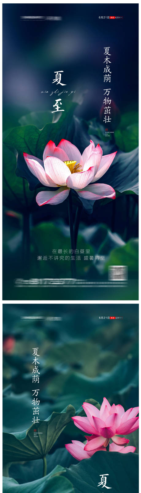 源文件下载【夏至节气海报】编号：20210601175655692