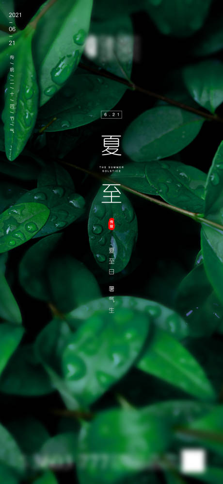 源文件下载【享设计】搜索编号：29610005125673936【夏至节气海报】