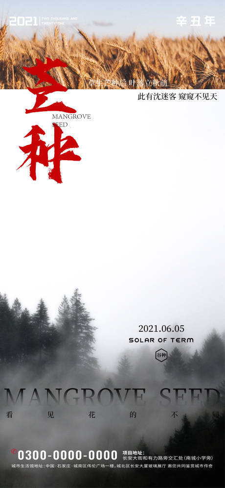 源文件下载【芒种节日海报】编号：20210602184425488