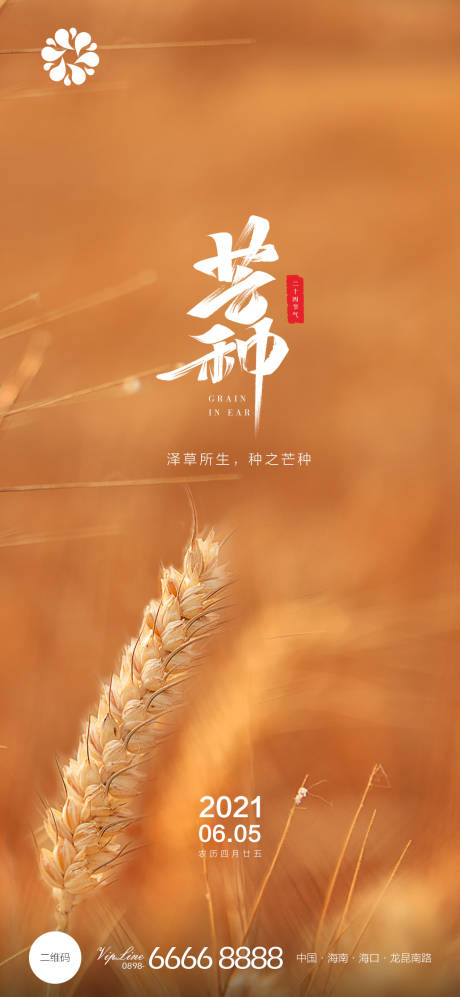 源文件下載【地產(chǎn)芒種節(jié)氣海報(bào)】編號(hào)：36760004940697733