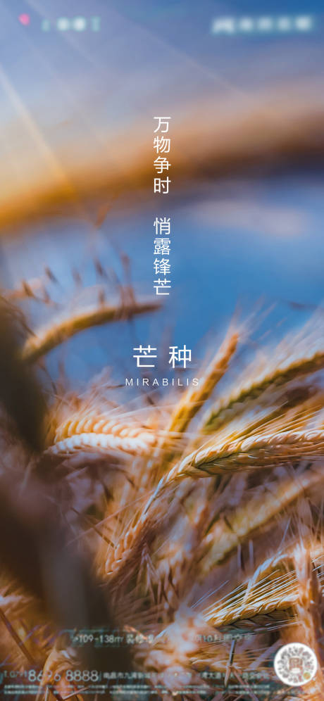 源文件下载【芒种】编号：33310005020725427