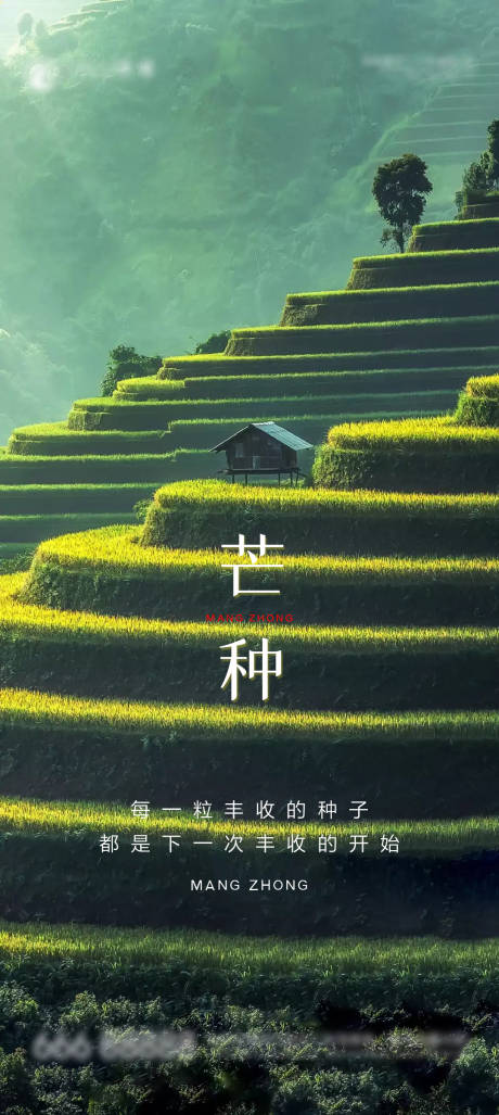 源文件下载【芒种节气海报】编号：71470004978756433