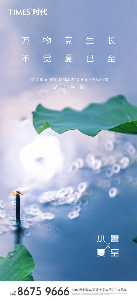 源文件下载【地产小暑夏至节气海报】编号：28670005207887008