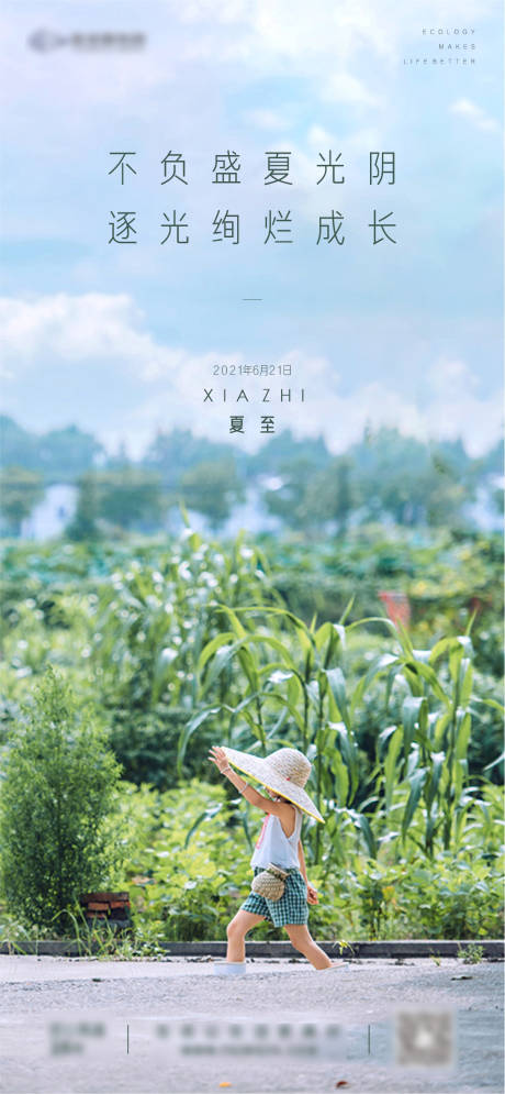 源文件下载【享设计】搜索编号：83050005191568812【二十四节气之夏至】