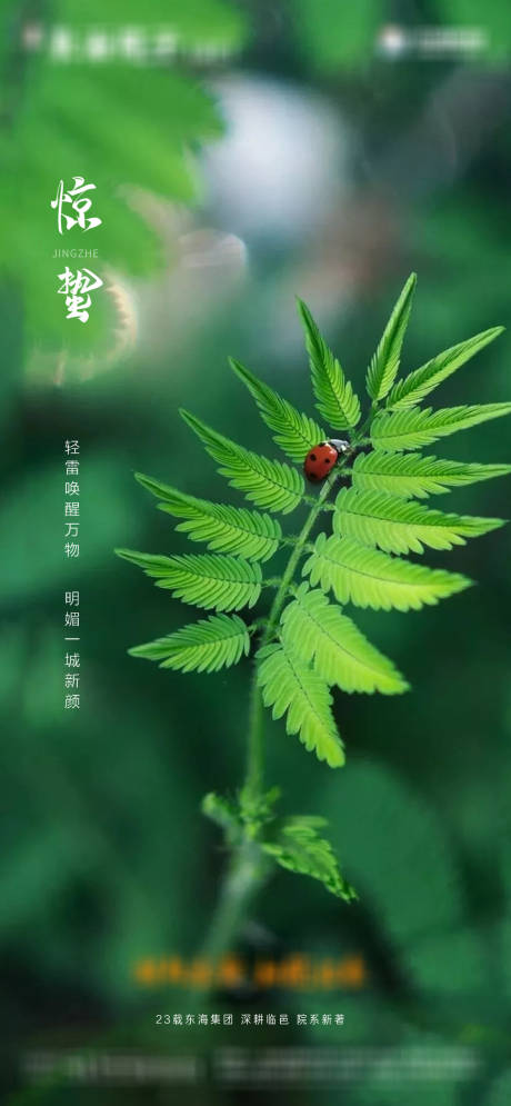 源文件下載【享設(shè)計(jì)】搜索編號：10350005155534896【驚蟄節(jié)氣海報(bào)】
