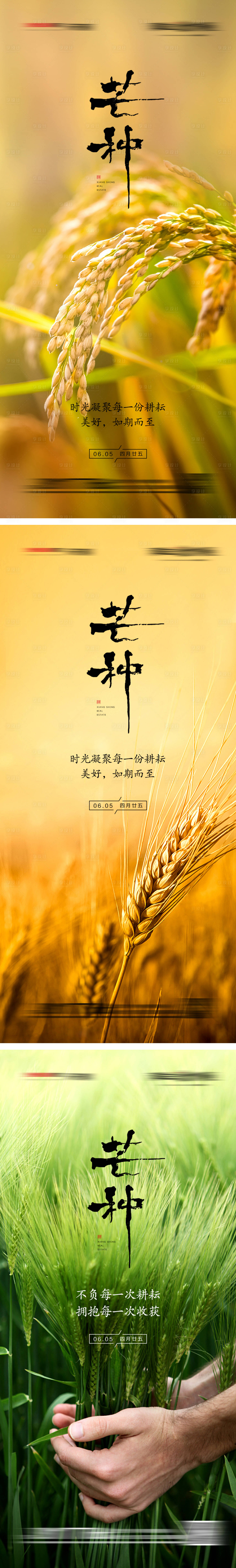 源文件下载【地产芒种宣传系列海报】编号：10420004969028459