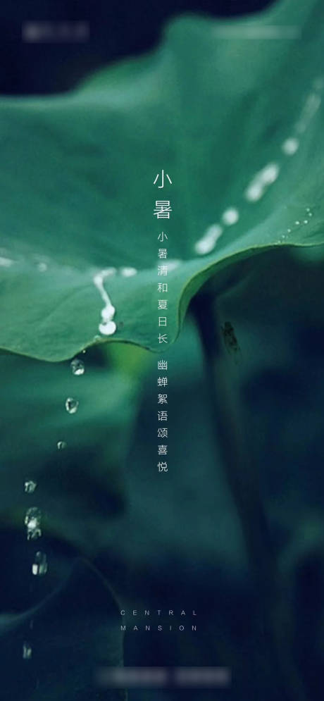 源文件下载【小暑节气海报】编号：94500005347207407