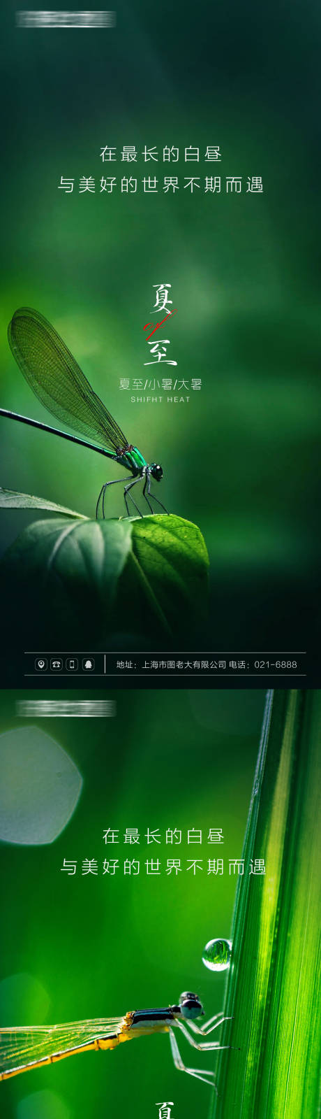 源文件下載【享設計】搜索編號：42580005127912791【夏至節氣海報】