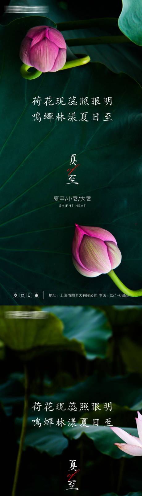 源文件下载【夏至节气系列海报】编号：51620005094837118