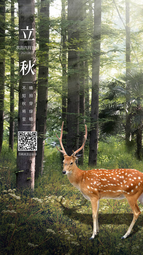 源文件下载【立秋节气海报】编号：24530004992888904