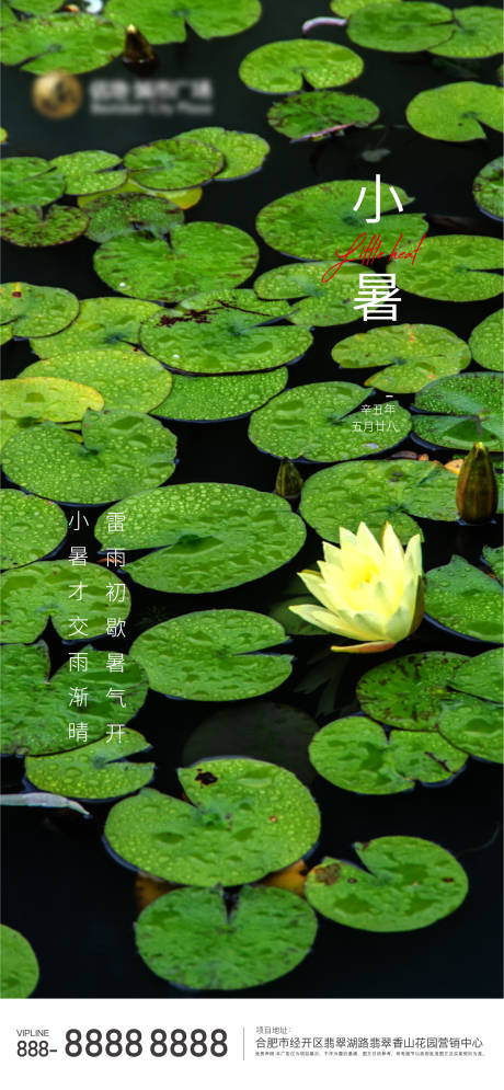 源文件下载【地产节气海报小暑】编号：33050005358329655