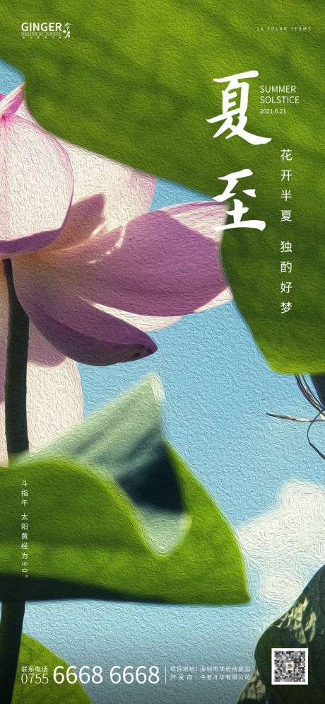 源文件下载【夏至花开半夏  】编号：69370004967416596