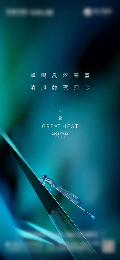 源文件下载【大暑节气单图】编号：35600005584656637
