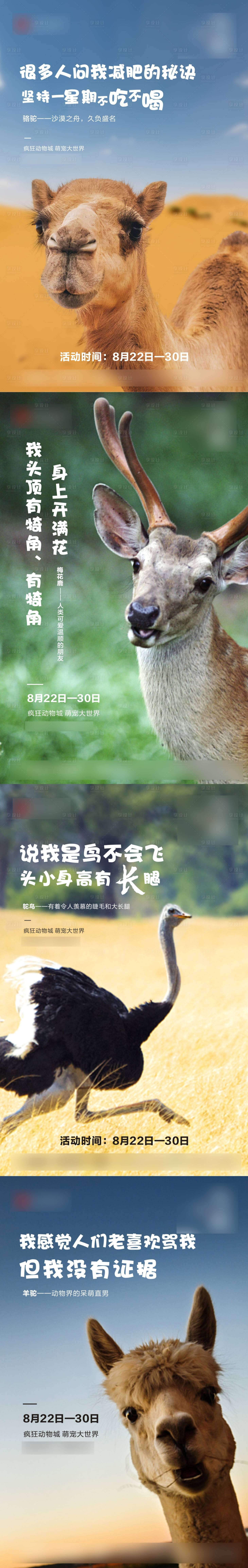 源文件下载【动物单图刷屏海报】编号：84630005760504045