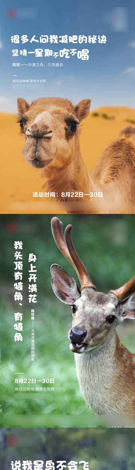 动物单图刷屏海报