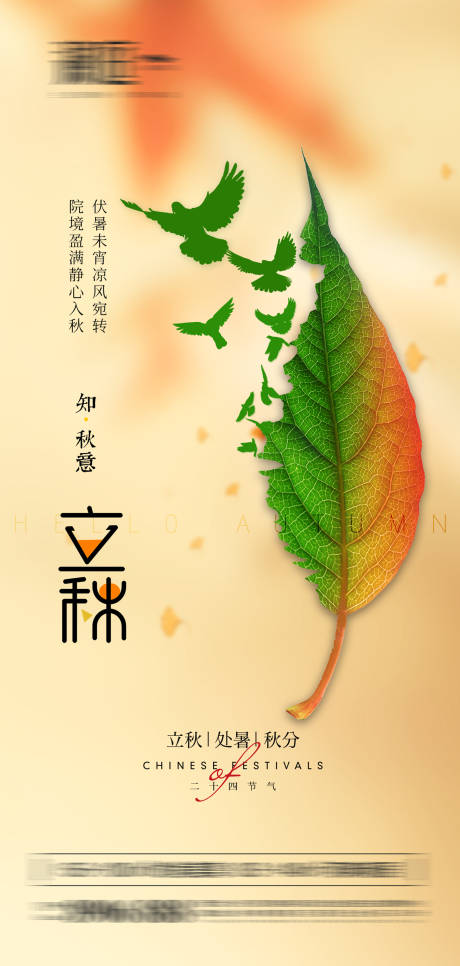 夏至小暑大暑处暑海报