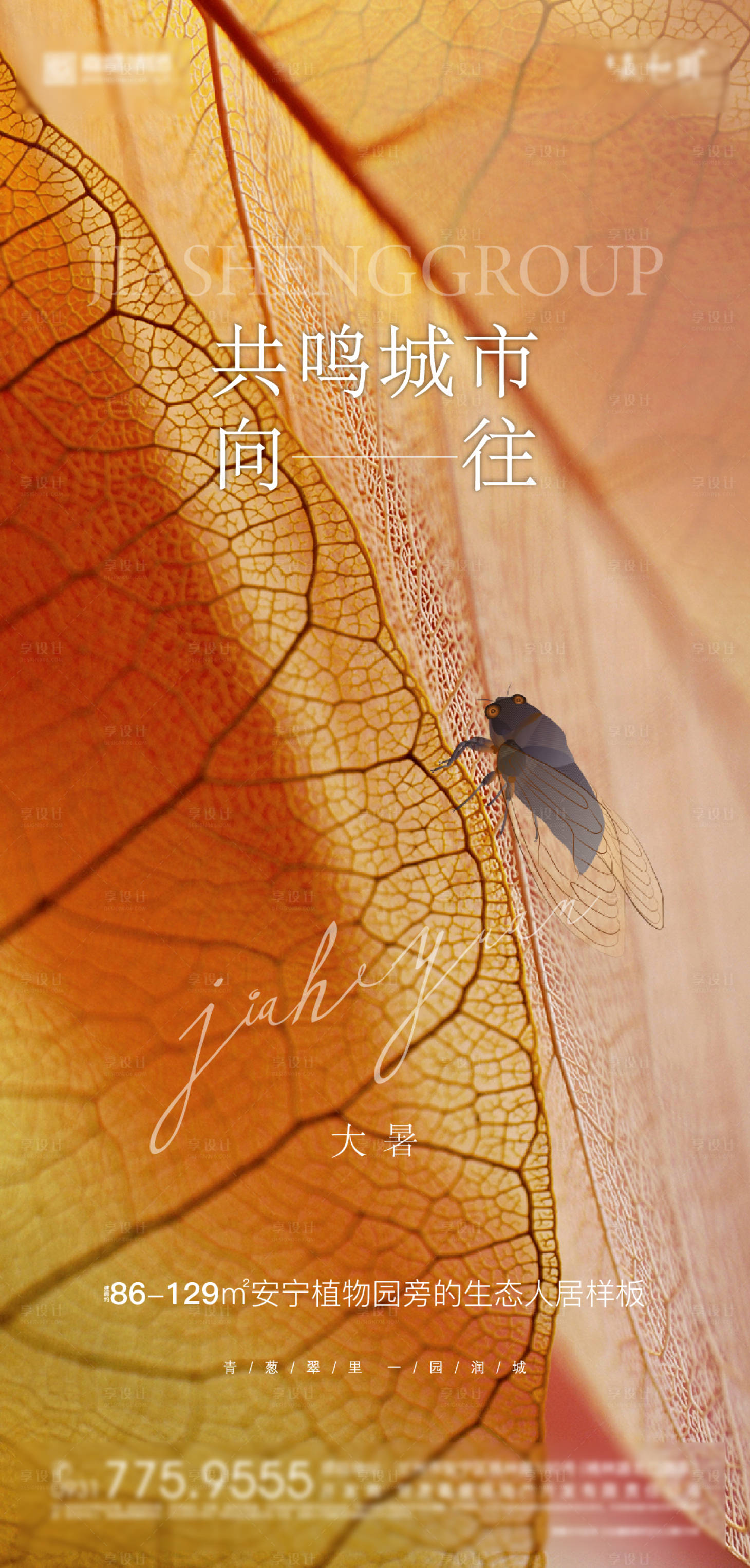 源文件下载【大暑】编号：27790005691995703