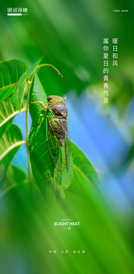 源文件下载【地产小暑节气海报】编号：20210703085335688