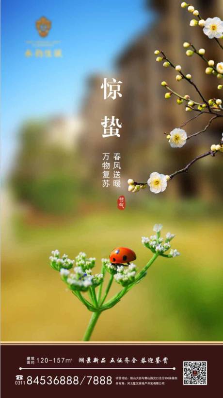 源文件下载【地产惊蛰节气海报】编号：80060005422125236