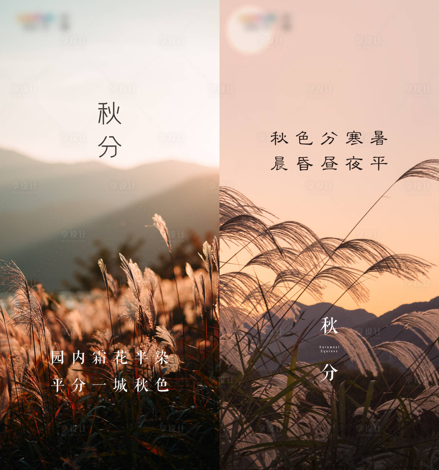 源文件下載【享設(shè)計(jì)】搜索編號(hào)：17050005828614740【秋分節(jié)日海報(bào)】
