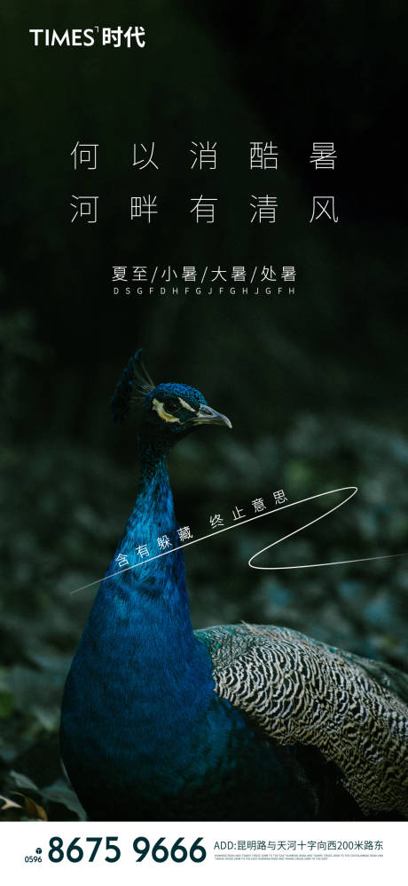 源文件下载【地产节气海报】编号：11930005764784392