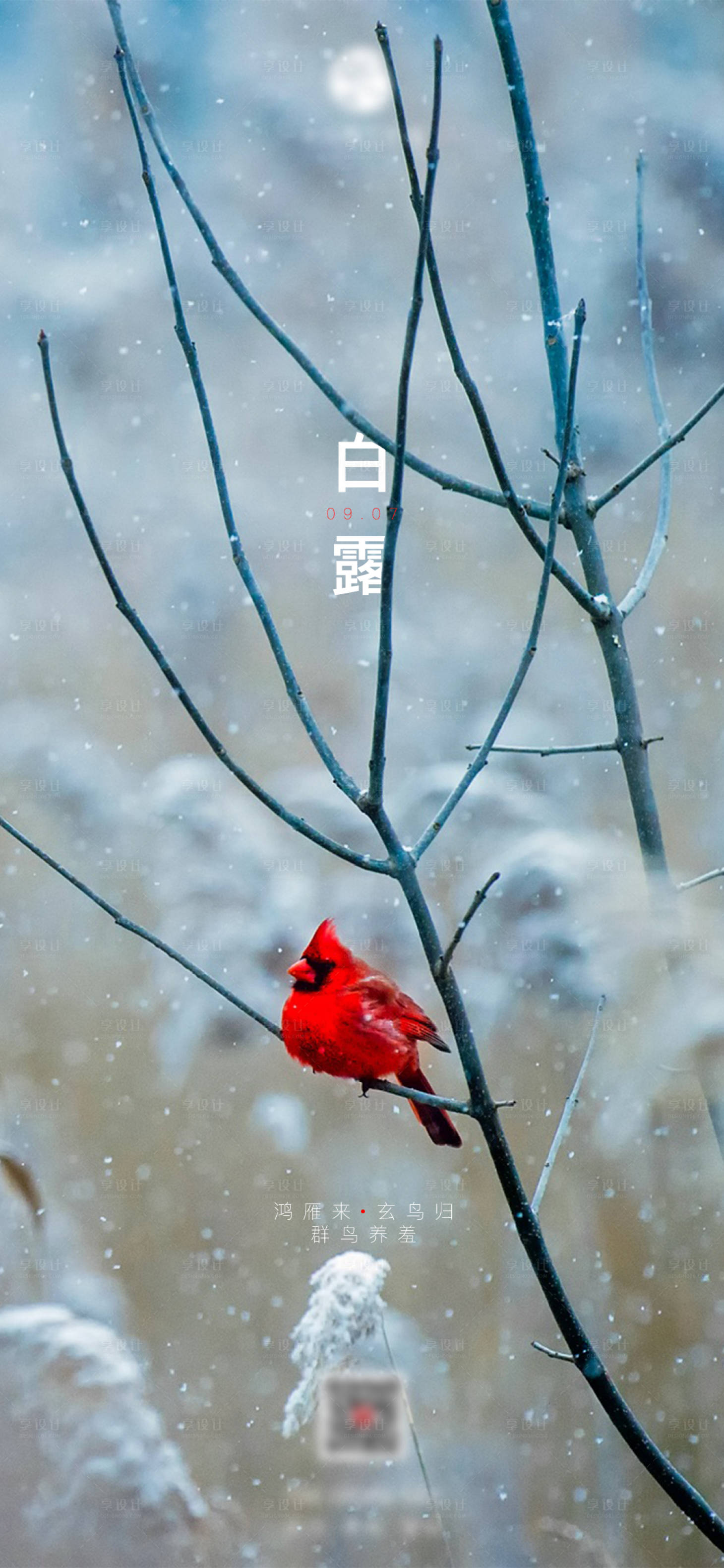 源文件下载【享设计】搜索编号：53570005635094496【白露二十四节气单图刷屏】