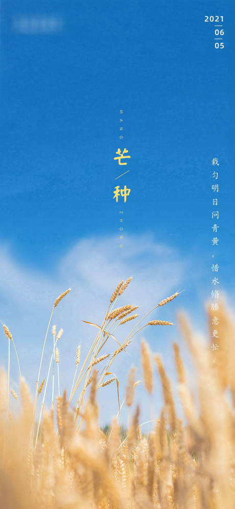 源文件下載【芒種節氣海報】編號：57410005511364168