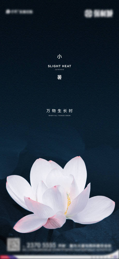 源文件下载【小暑节气移动端海报】编号：93810005421877660
