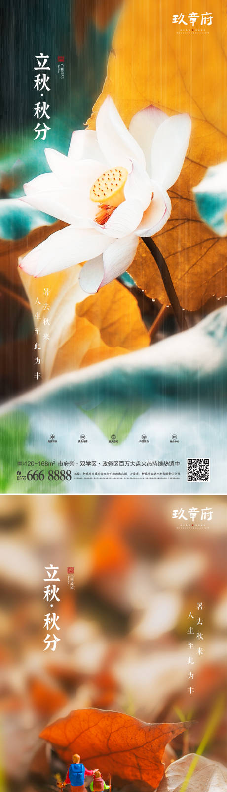 源文件下载【立秋秋分荷花树叶海报】编号：42030005697872543