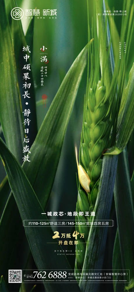 源文件下载【小满节气微信海报】编号：63500005567787154