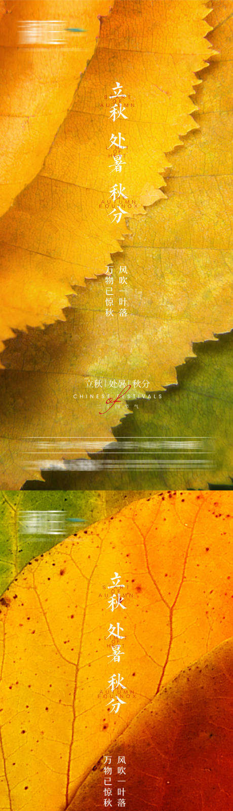 源文件下載【立秋處暑秋分系列海報】編號：37780005585906585