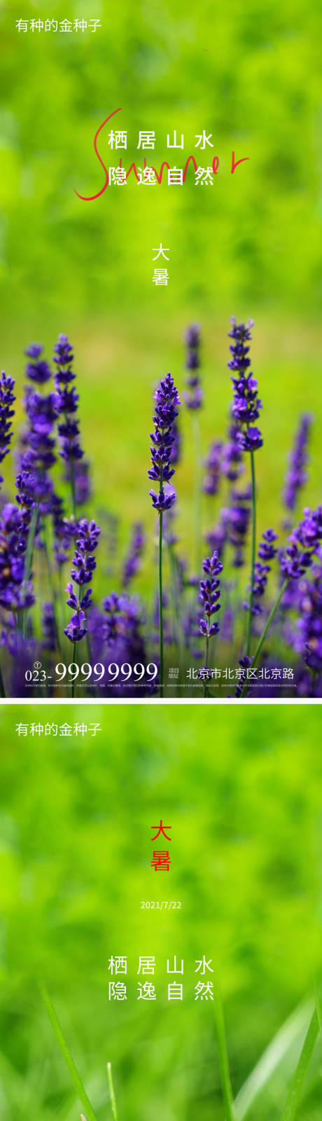 源文件下载【享设计】搜索编号：69960005664982527【小暑大暑节气海报】