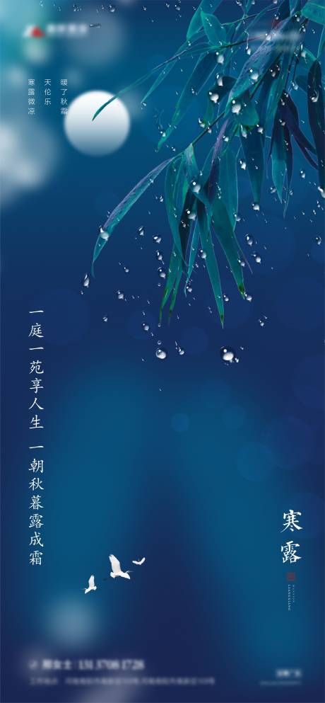 源文件下载【地产白露节气】编号：21850005704904050