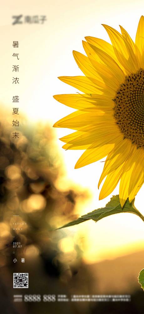 源文件下載【小暑節(jié)氣移動(dòng)端微信海報(bào)】編號(hào)：52080005405072450