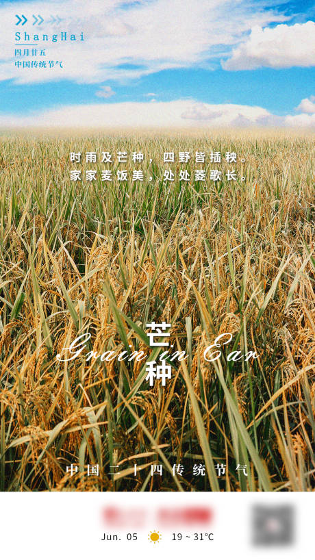 源文件下载【芒种二十四节气海报】编号：24290005682459384