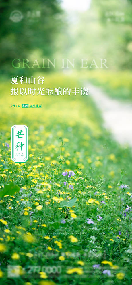 源文件下載【享設計】搜索編號：88910005783976526【芒種節氣海報】