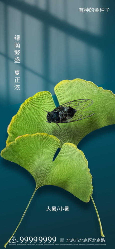 源文件下载【大暑节气海报】编号：57630005627145098
